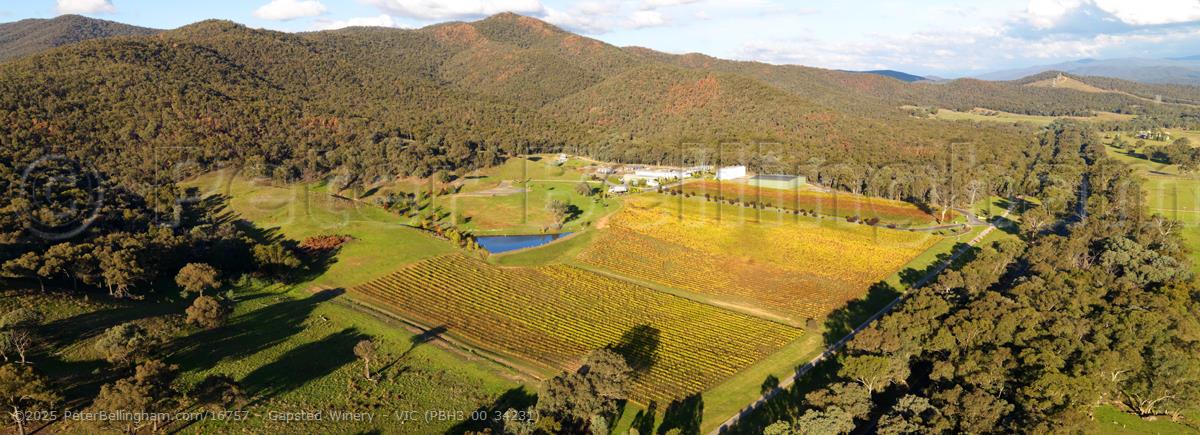 Peter Bellingham Photography Gapsted Winery - VIC (PBH3 00 34231)